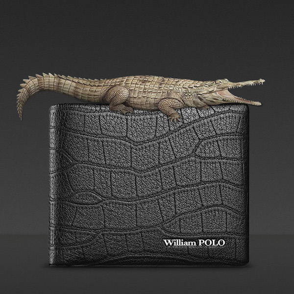 WILLIAMPOLO Luxury Crocodile Bifold Genuine Leather Black Short  Wallets
